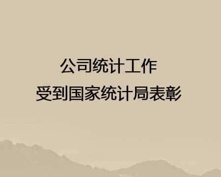 公司統(tǒng)計(jì)工作受到國(guó)家統(tǒng)計(jì)局表彰